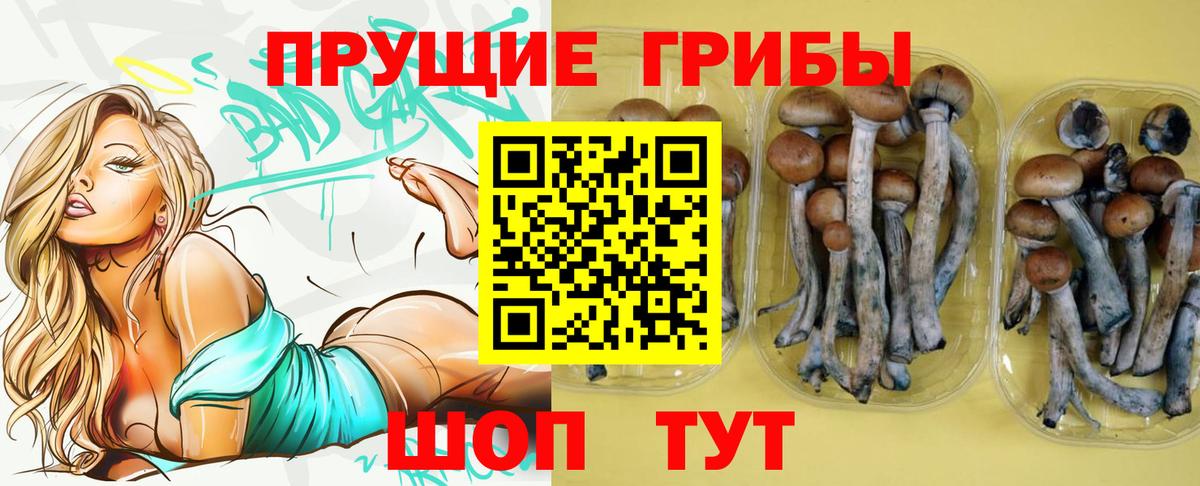 Галлюциногенные грибы Magic Shrooms  Вход с VPN  Кропоткин  Галлюциногенные грибы MAGIC MUSHROOMS 
